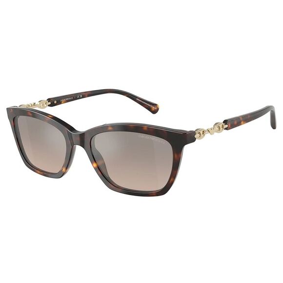 Emporio Armani EA 4238 Plastic Cat-Eye Sunglasses